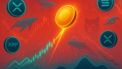 5-reasons-remittix-might-overtake-xrp-and-xlm-as-the-future-of-crypto-payments